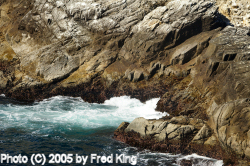 Rocks and Surf, Point Lobos, CA
