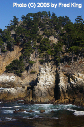 Coast, Point Lobos, CA