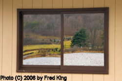 Window, Rocky Gap State Park, MD