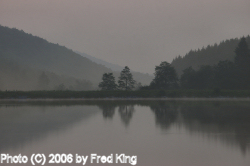 Foggy evening, Spruce Knob Lake, WV