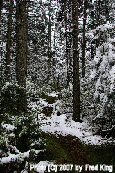Snow along the Huckleberry Trail